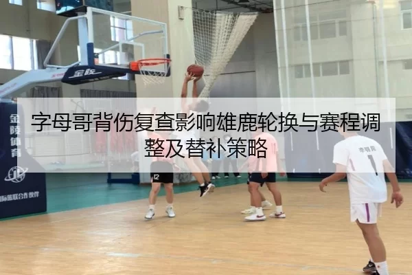 字母哥背伤复查影响雄鹿轮换与赛程调整及替补策略